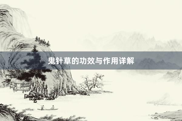 鬼针草的功效与作用详解